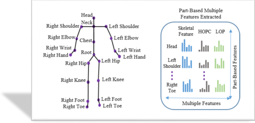 Human Action Recognition via Skeletal and Depth Based Feature Fusion
