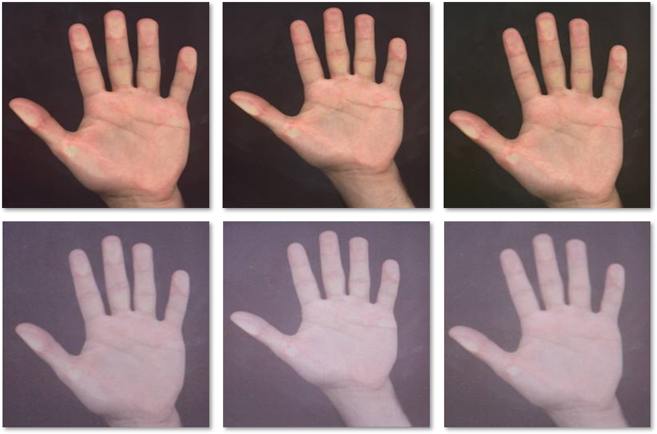 Spoofing Detection on Hand Images Using Quality Assessment