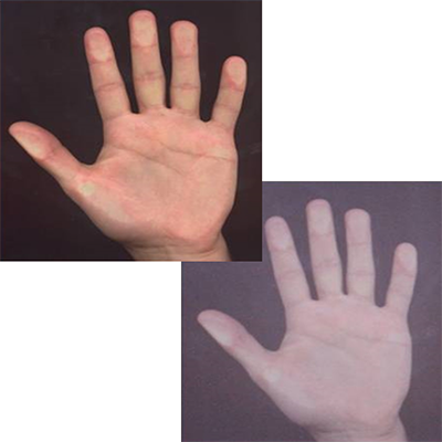 Spoofing Detection on Hand Images Using Quality Assessment